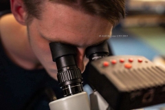 Technician-in-microscope