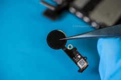iphone-home-button